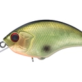 Green Scale H32