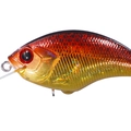 Gold Fire SH48