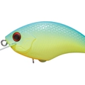 Honey Blue M62