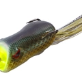 PAD Gill CF32