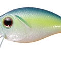 K.O.Dazzler Shad PL17