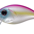 Sexy Pink P43