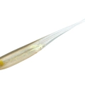 Ayu MW003