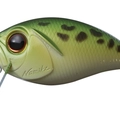 Mighty Frog P56