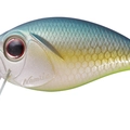 S Jade Shad Chart Belly B64