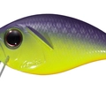 Chart Purple Back PP81