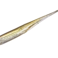 Tasty Shad MW016