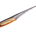 Black Gold Orange Belly MW022