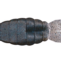 Dark Cinnamon Blue & Pepper W027