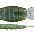 Water Melon Gill TW190