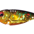 Black Gold Orange Belly OR04