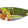 Green Gill OR19