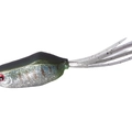 Bluegill F09