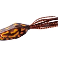 BT Brown F25