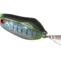 Blue Gill.V B56