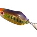 Wild Gill B71