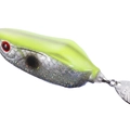 Chart Back Shad B74