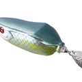 GS Jade Shad Chart Belly B77