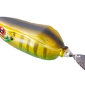 Natural Gill B79
