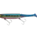 Red Belly Iwashi
