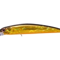 Black Gold Orange Belly H04