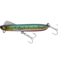 Red Belly Iwashi