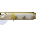 Ghost minnow G01