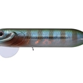 Tsuresu Gill BH45