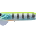 Chart Back Gill DM95