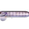 T.N. Silver Gill PMS45