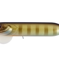 Bluegill P95