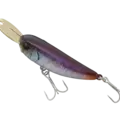 UV Katakuchi