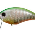 TS Lesca Tiger P44