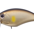 Golden Ayu ME01