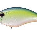 K.O.Dazzler Shad PL17