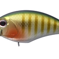 Green Gill GH45