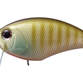 Sunny Gill P45