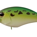 Mighty Frog P56