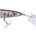 Chi Gill T16
