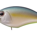 S Jade Shad Chart Belly B64