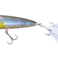 Numeri Shad P47