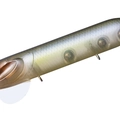 Tasty Shad P23