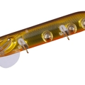 TG Golden Shiner F TGF53