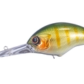 Green Gill GH45