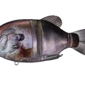 Ghost Real Gill K09