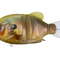 Ghost Chart Real Gill K12