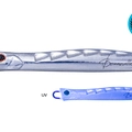 Edomae Keimura MJ05