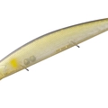 Ghost minnow G01