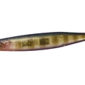 Dazzler Baby Gill L16