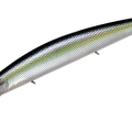 HM Sexy Shad HM21